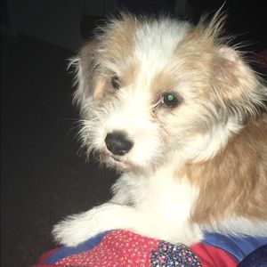 Meet your Posher, Brianna